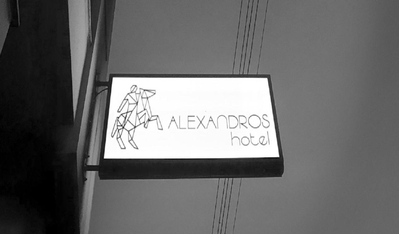 فندق Alexandros يانيتسا المظهر الخارجي الصورة
